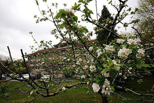 天津,天津大学