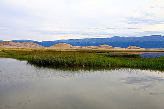 鸣沙山湿地风光