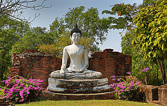 泰国,老,公园,寺院,唱
