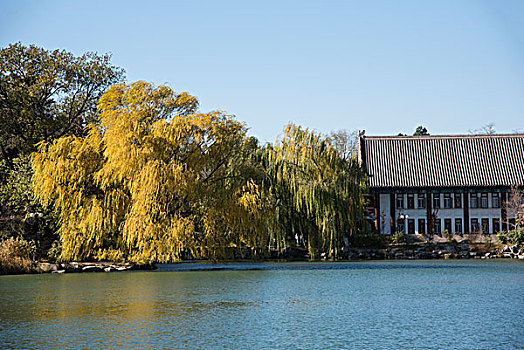 北京大学