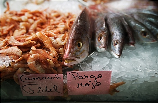 鱼肉,冰,市场