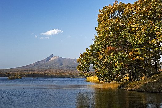 彩色,湿地