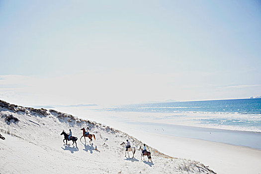 骑马,海滩,奥克兰,新西兰