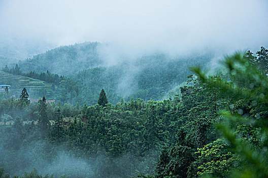 雨雾山景