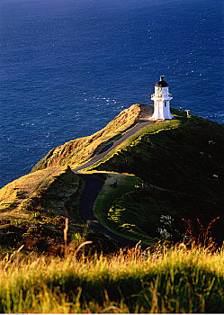 灯塔,雷因格海角,塔斯曼海