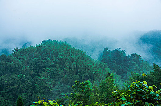 雨雾山景