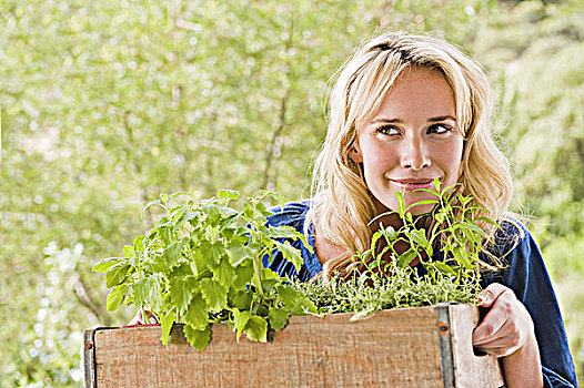 女人,板条箱,植物