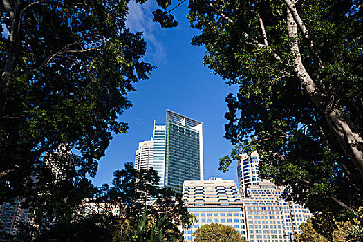澳大利亚,悉尼,中央商务区,建筑,海德公园