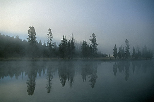 晨雾,上方,黄石河,黄石国家公园,怀俄明,美国