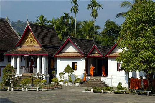 僧侣,寺院,琅勃拉邦,老挝