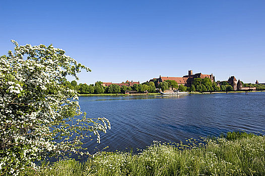 城堡,远眺,马尔堡,波兰
