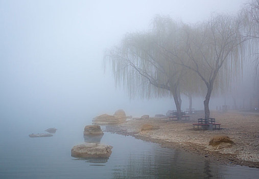 公园,大雾