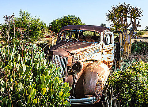 生锈,老爷车,围绕,植物,纳米比亚,非洲
