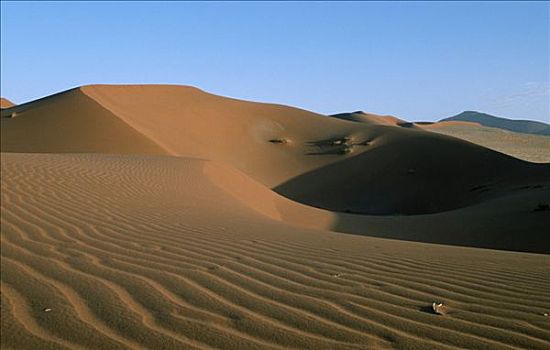 沙丘,纳米布沙漠,纳米比亚