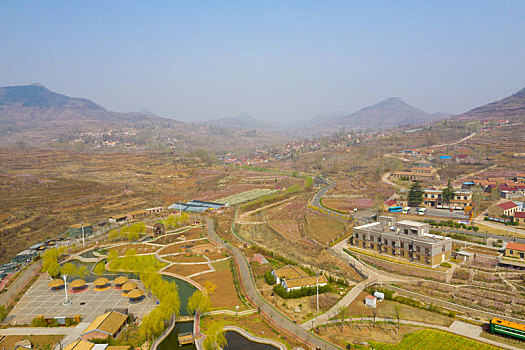 山东蒙阴乡村桃花