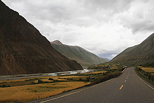 西藏山谷里的公路