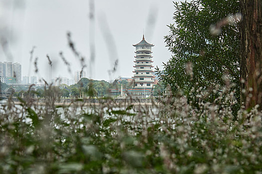 长沙烈士公园夏季雨后风景