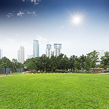 草坪,城市,城市公园