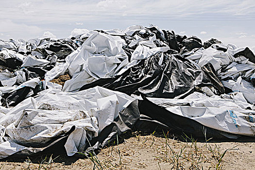 黑白,丢弃,塑料袋,遮盖,大捆,干草