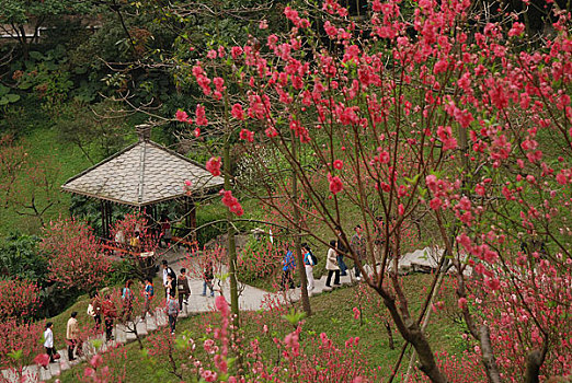 广州白云山桃花涧