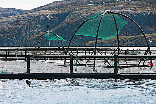 挪威,养鱼场,笼子,三文鱼,峡湾