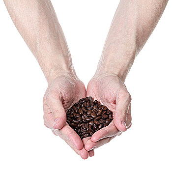 男人,握着,咖啡豆,隔绝,白色背景