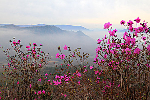 仙翁山风景