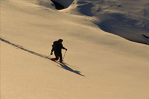 人,越野滑雪,冬天,景色,日落