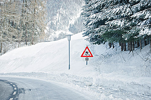 道路,冬天,布雷根茨,奥地利