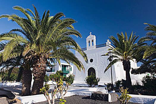 教堂,棕榈树,树,兰索罗特岛,加纳利群岛,西班牙,欧洲