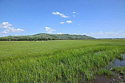 内蒙古呼伦贝尔鄂温克族旗伊敏河畔草原