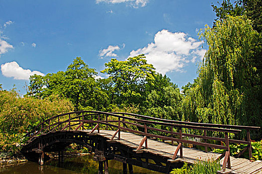桥,植物园,弗罗茨瓦夫,波兰