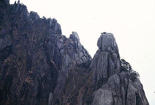 安徽黄山松鼠跳天都