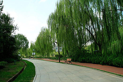 天津南翠屏公园