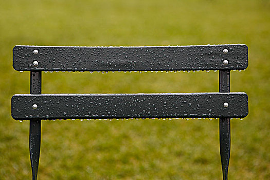 雨,长椅