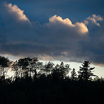 剪影,树,乌云,湖,木头,安大略省,加拿大