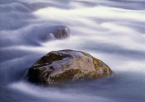 特写,石头,河流