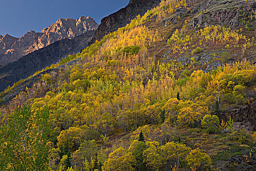 秋色,顶峰,楚加奇州立公园,阿拉斯加