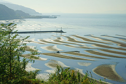 海滩,熊本,日本