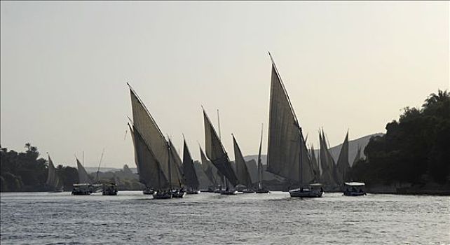 尼罗河,三桅小帆船,帆船,游客,阿斯旺,埃及