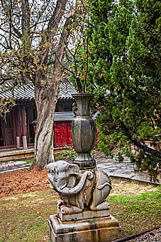 云南红河州建水文庙石象