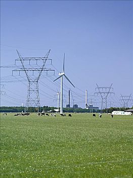 风电场,电线,弗莱福兰,荷兰