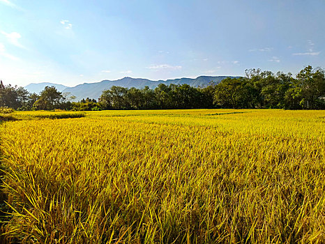 山野乡村,田园风光