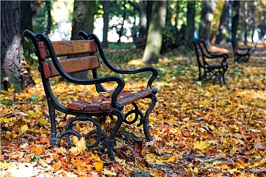 木制长椅,秋天风景