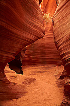 亚利桑那,纳瓦霍部落,侵蚀,沙岩构造,抓住,高,响尾蛇,峡谷