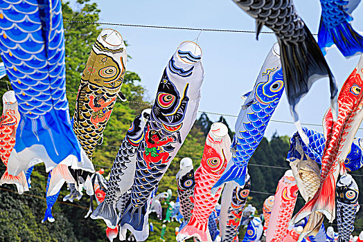 河,飞,鲤鱼,节日,石川,日本