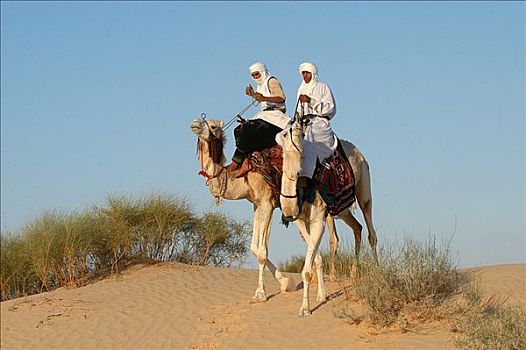 贝多因人,单峰骆驼,撒哈拉沙漠