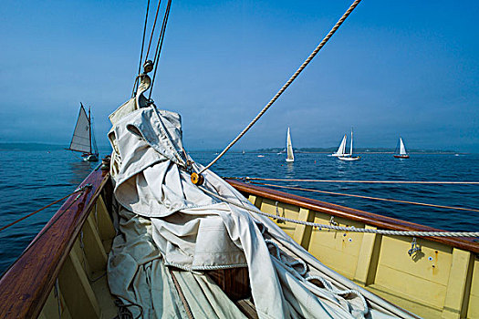 马萨诸塞,纵帆船,节日,乘坐,弗吉尼亚