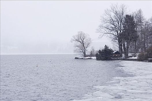 小屋,湖岸,冬天
