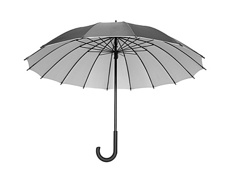 黑色,伞,隔绝,白色背景,裁剪,小路
